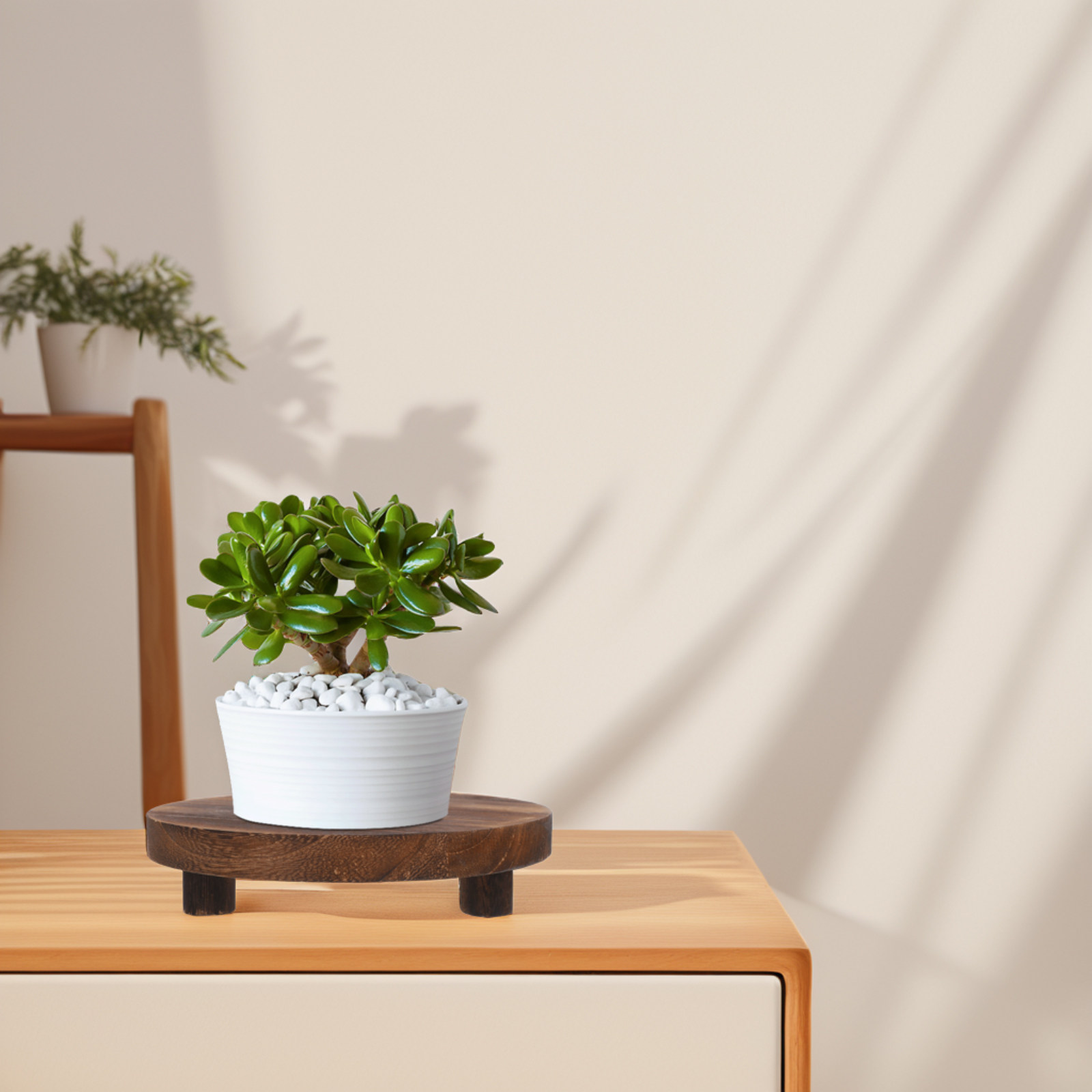 3Pcs Solid Wood Plant Stand Se - Display Risers Set ulasan dan harga