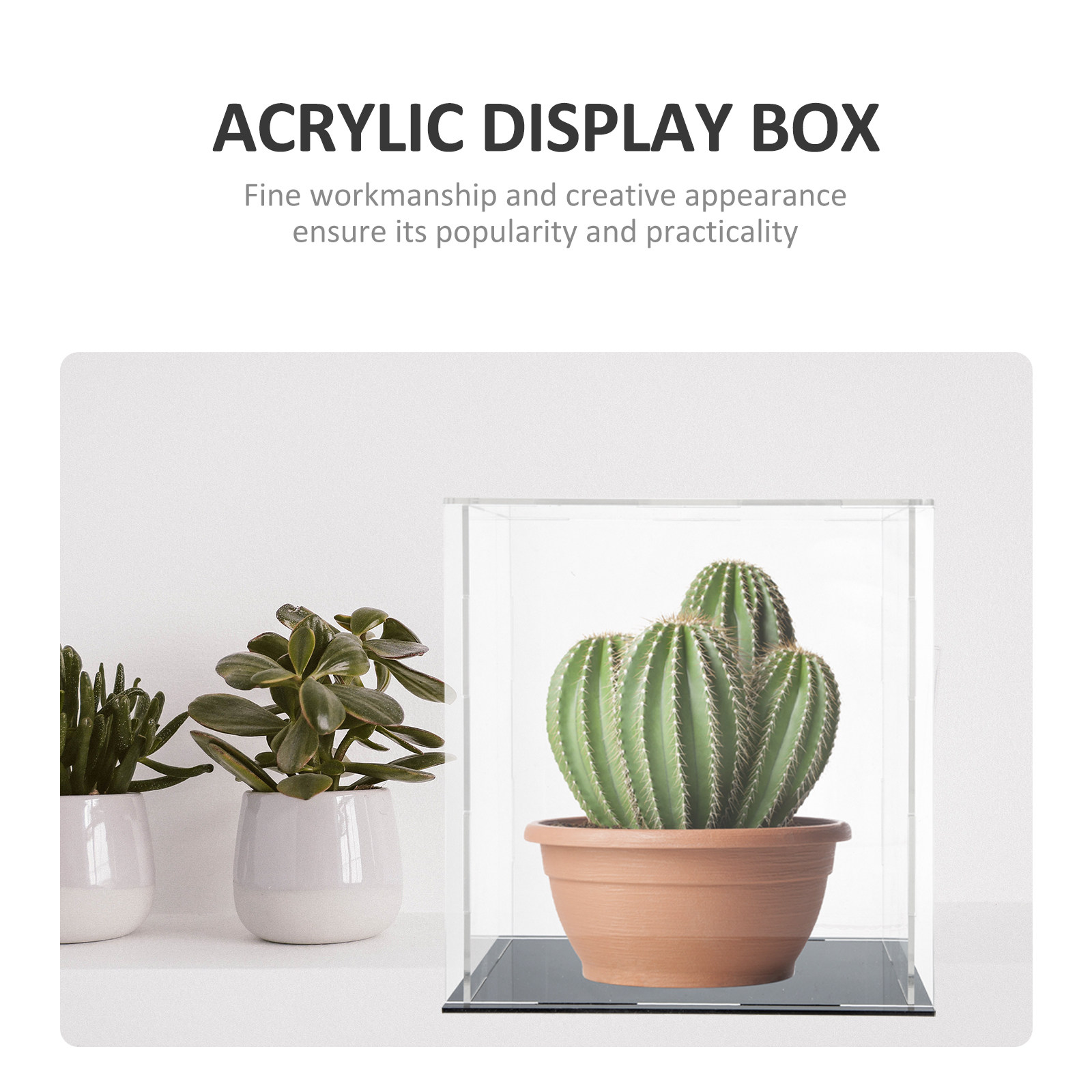 Heavy-Duty Acrylic Display Box - Display Case Acrylic ulasan dan harga